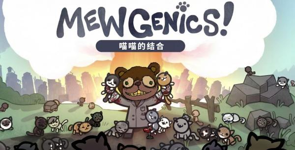 喵喵的结合辅助流法师怎么玩-辅助流法师玩法思路