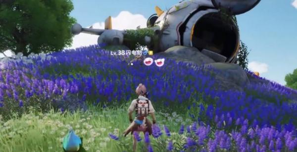 伊莫狼牙岭宠物怎么捕捉