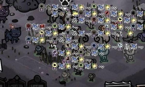 喵喵的结合德鲁伊松鼠流派怎么玩 喵喵的结合德鲁伊松鼠流派怎么玩