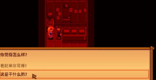 星露谷物语海莉的暗室怎么选择