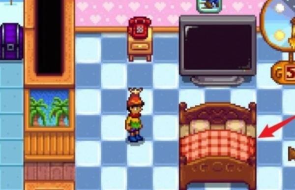 星露谷物语怎么生第二个孩子-生第二个孩子方法