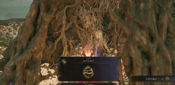 艾尔登法环金黄色编发怎么获得