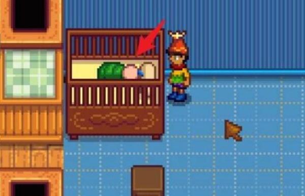 星露谷物语怎么生第二个孩子