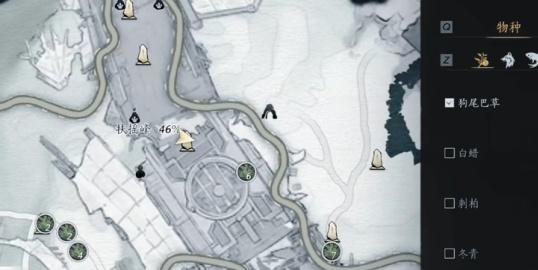 燕云十六声狗尾巴花怎么采集