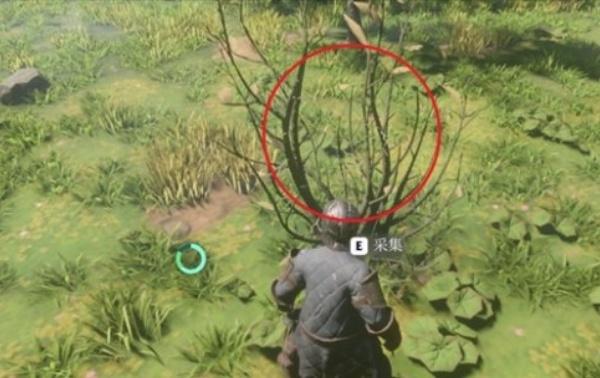 雾锁王国基地造哪里 雾锁王国基地造哪里