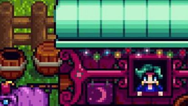 星露谷物语鹦鹉螺怎么获得