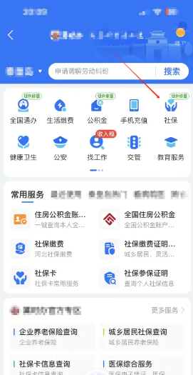 支付宝怎么城乡居民医保缴费 支付宝怎么隐藏真实姓名