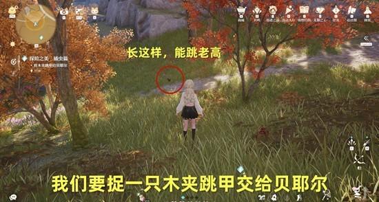 无限暖暖探险之美捕虫篇怎么过