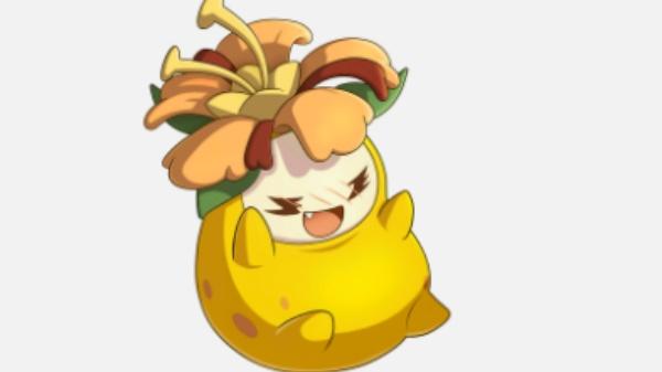 洛克王国世界菊花梨怎么配招