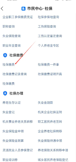 支付宝怎么城乡居民医保缴费 支付宝怎么隐藏真实姓名