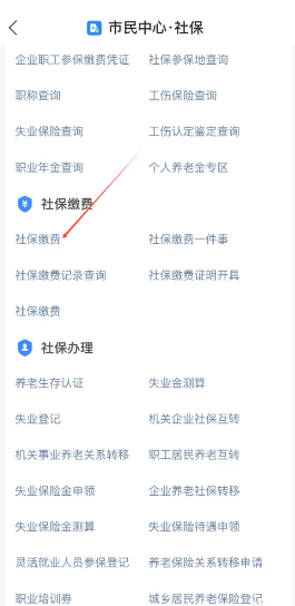 支付宝怎么城乡居民医保缴费 支付宝怎么隐藏真实姓名