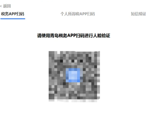 电子税务局网页版打不开怎么办 电子税务局网页版打不开是怎么回事 电子税务局网页版打不开怎么办 电子税务局网页版打不开是怎么回事