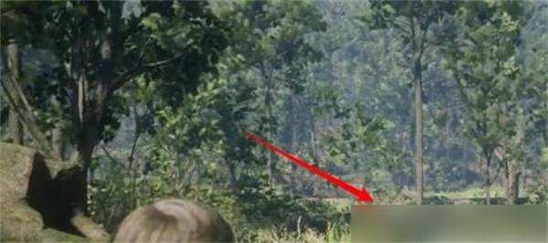 荒野大镖客2完美黑熊在哪 荒野大镖客2完美黑熊在哪