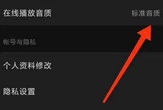 汽水音乐怎么设置来电铃声 汽水音乐怎么设置音效模式