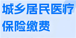 支付宝交农村合作医疗保险怎么操作 支付宝交农村医保缴费流程