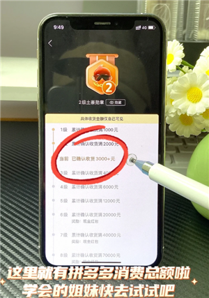 拼多多怎么看总共消费多少钱 拼多多怎么看一年的总消费 拼多多怎么看总共消费多少钱 拼多多怎么看一年的总消费