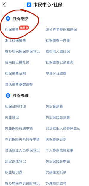 支付宝交农村合作医疗保险怎么操作 支付宝交农村医保缴费流程