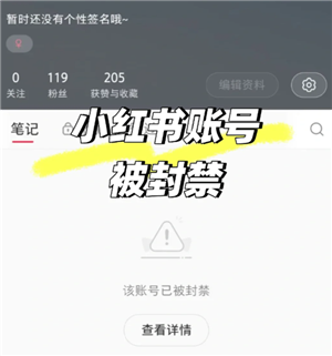 小红书封号是怎么回事 小红书封号机制是什么 小红书封号是怎么回事 小红书封号机制是什么