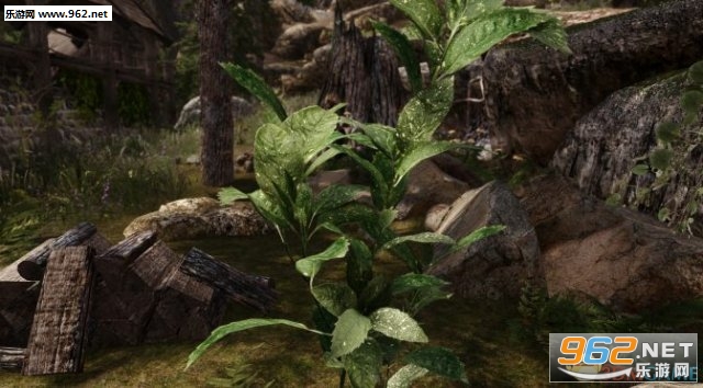 《上古卷轴5：天际》风景Mod展示精致树木花卉模型