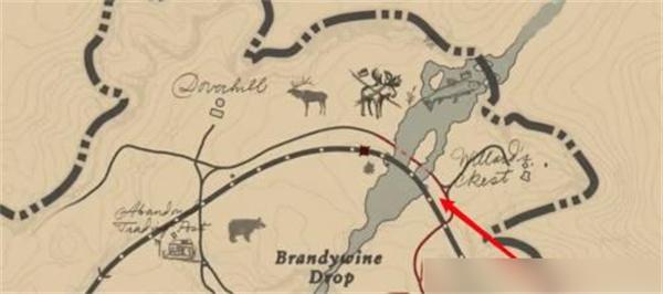 荒野大镖客2完美黑熊在哪 荒野大镖客2完美黑熊在哪