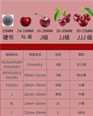 车厘子大小等级J是什么意思 车厘子2j3j4j是什么意思