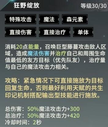 星痕共鸣辅助阵容怎么搭配