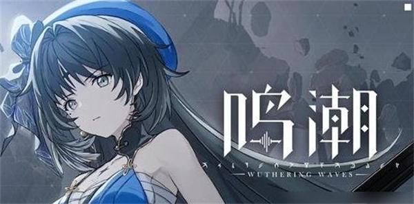 鸣潮共鸣技能和共鸣解放是什么-共鸣技能和共鸣解放介绍